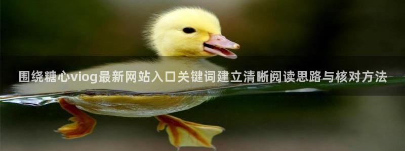 糖心的vlog日常免费观看