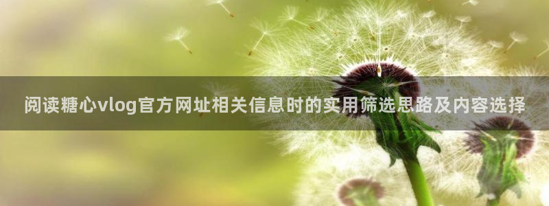 糖心网站入口