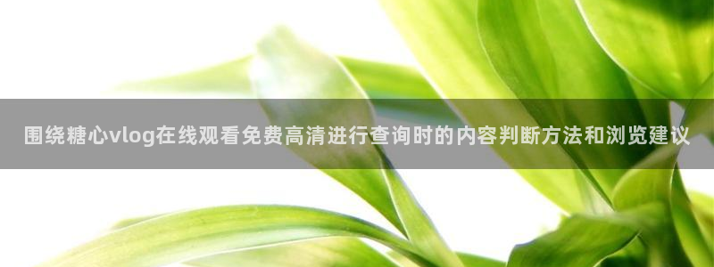 糖心vlog视频