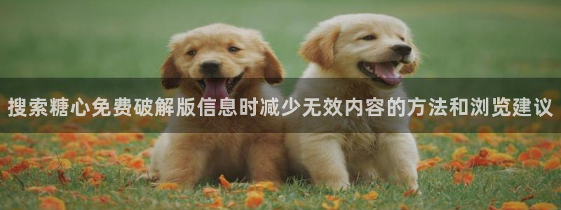 糖心视频网站
