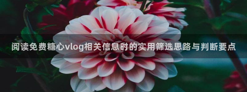 糖心vlog在线播放