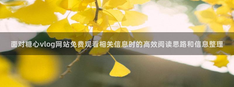 糖心免费网站:面对糖心vlog网站免费观看相关信息时的高效阅读思路和信息整理