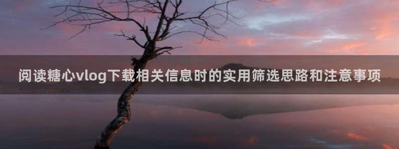 糖心app在线观看:阅读糖心vlog下载相关信息时的实用筛选思路和注意事项
