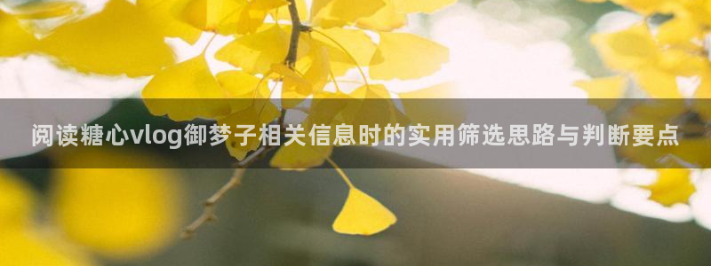 糖心vlog下载:阅读糖心vlog御梦子相关信息时的实用筛选思路与判断要点