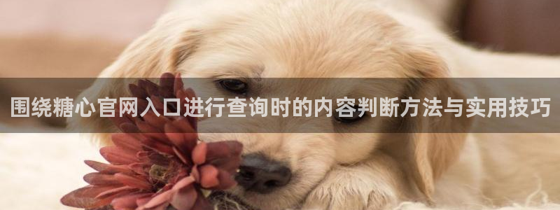 糖心vlog在线免费看:围绕糖心官网入口进行查询时的内容判断方法与实用技巧