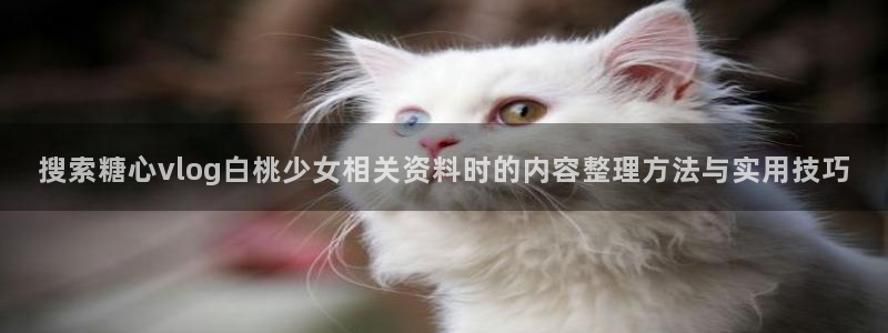 糖心官网免费观看